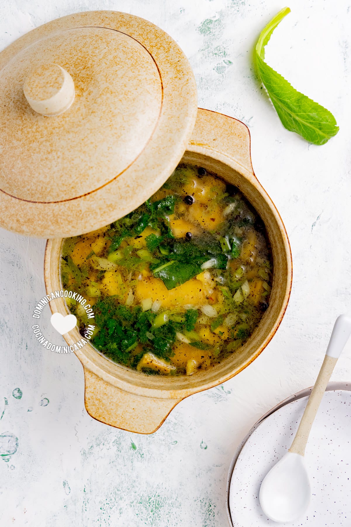 Aguají: sopa de plátano (roasted plantain soup).