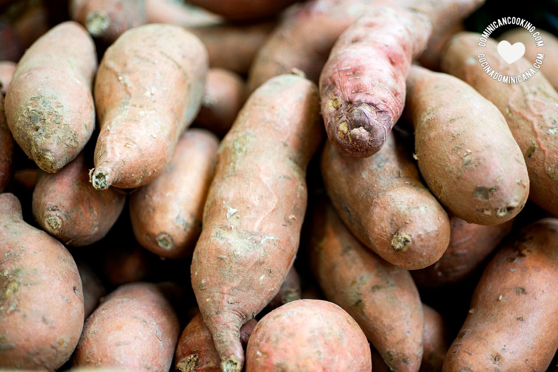 Batata at market.