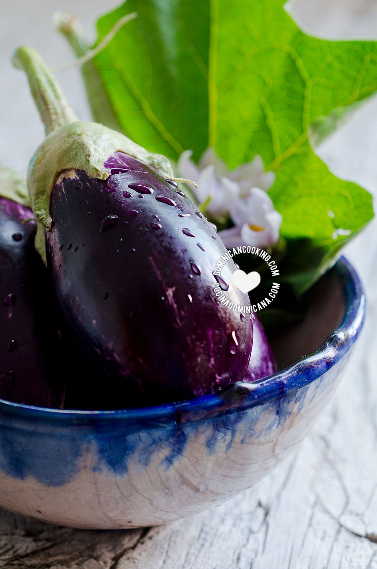 Eggplants.