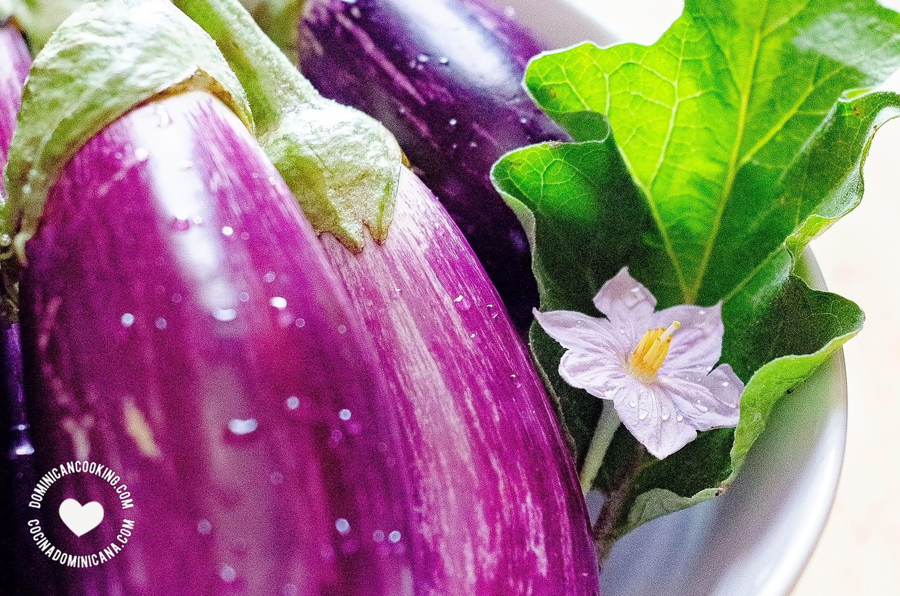 Eggplant.