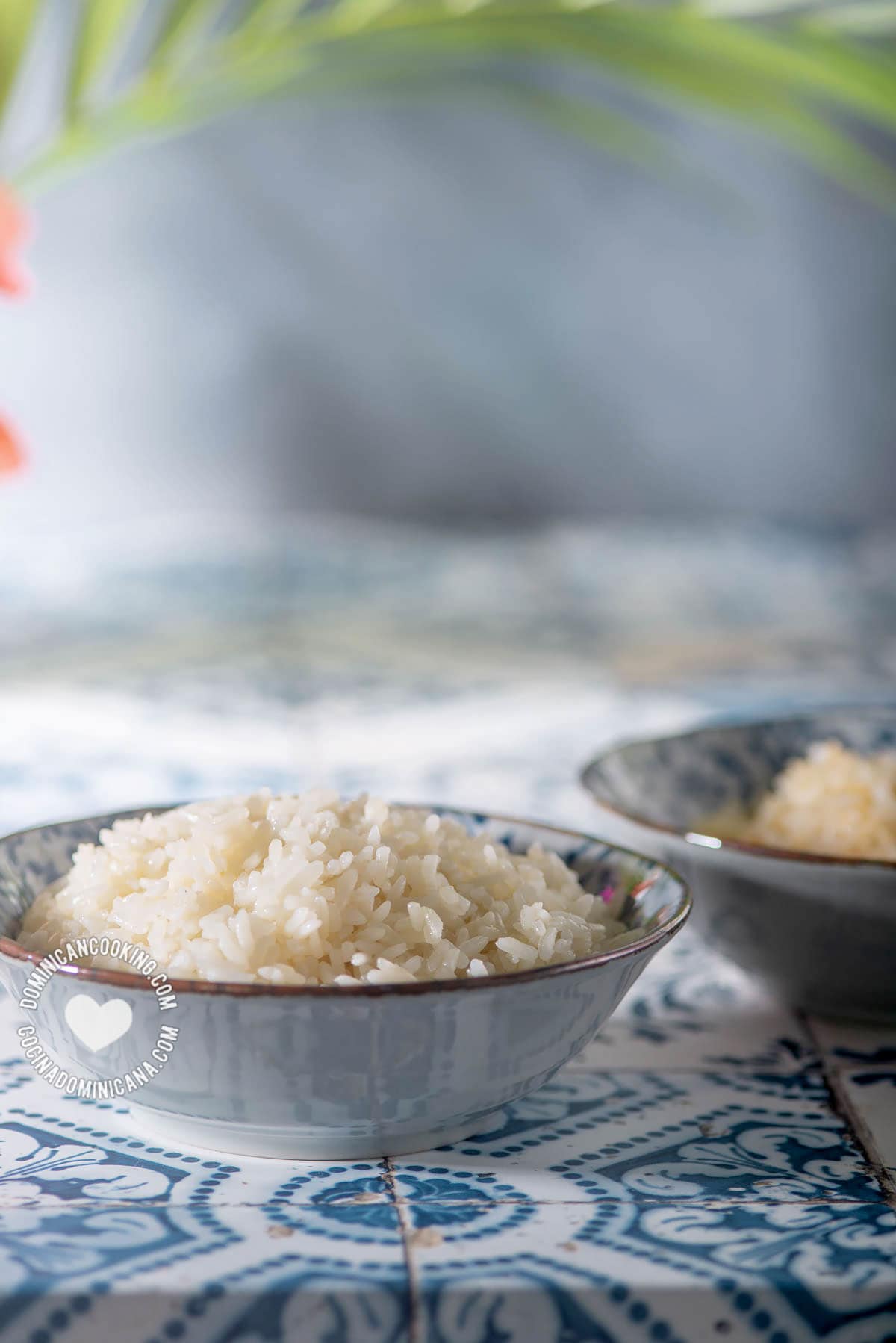 Arroz blanco (white rice).