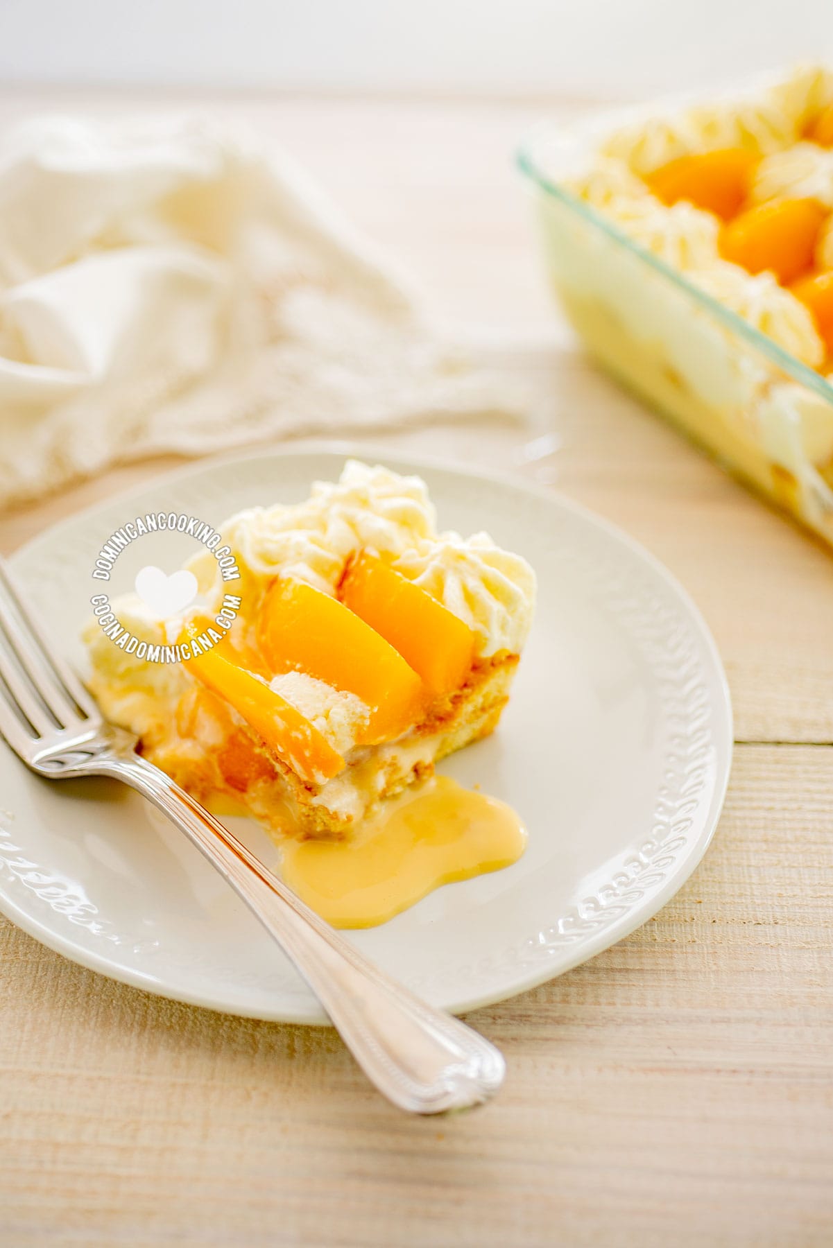 Dulce de nevera (Dominican trifle).