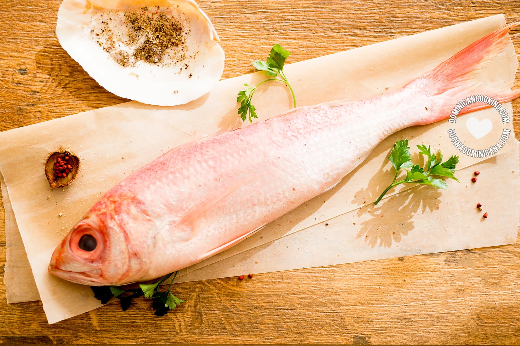 snapper