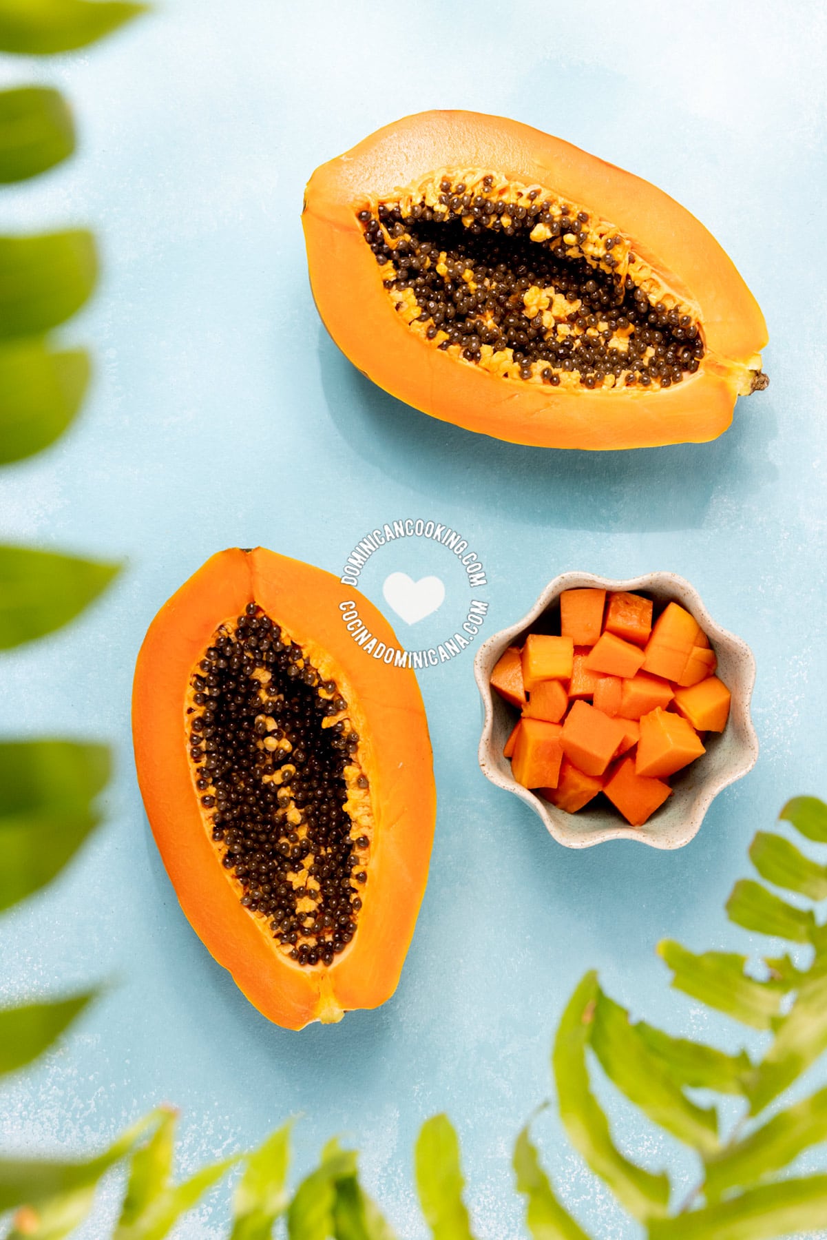 Papaya.