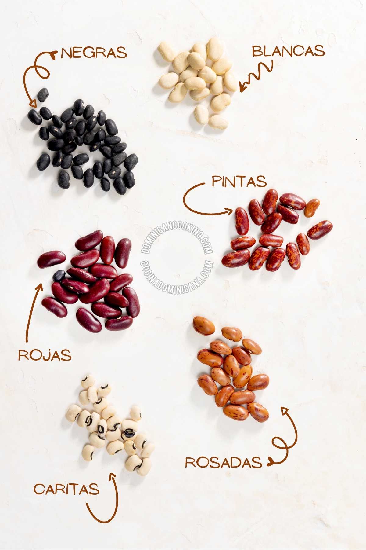 Types of habichuelas.
